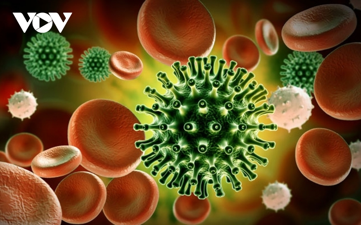 Two new strains of SARS-CoV-2 detected in Vietnam